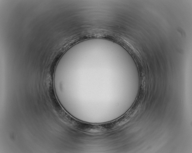 X0000112820459200908211003