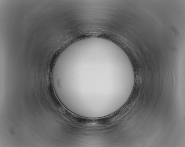 X0000112820460200908211003