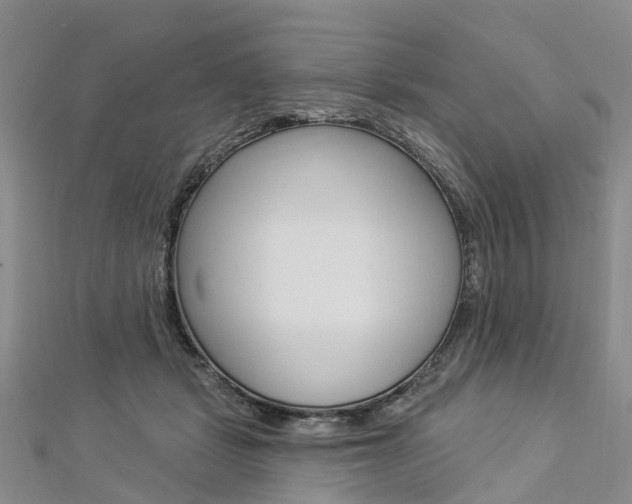 X0000112820461200908211003