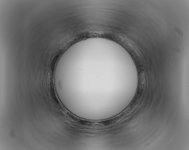 X0000112820463200908211003