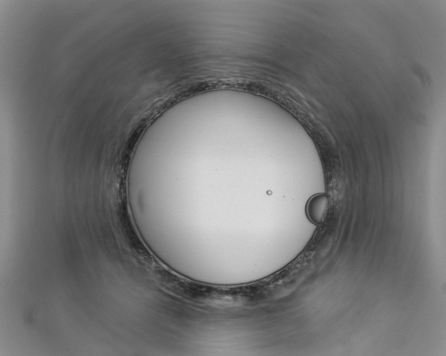 X0000112820464200908211003