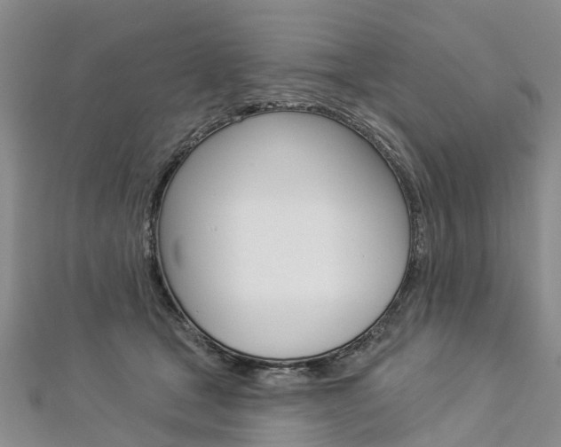 X0000112820465200908211004