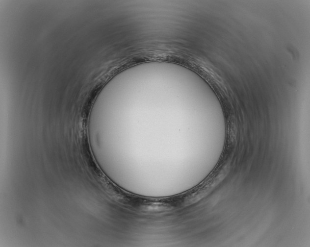 X0000112820467200908211004