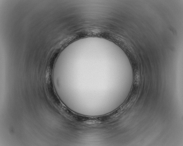 X0000112820468200908211004
