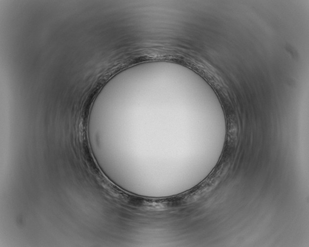 X0000112820469200908211004