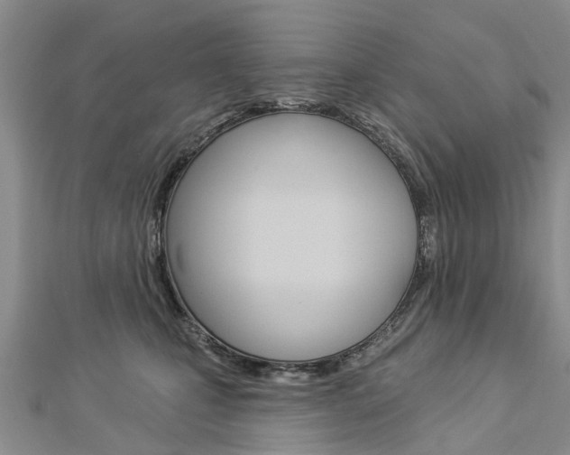 X0000112820471200908211004