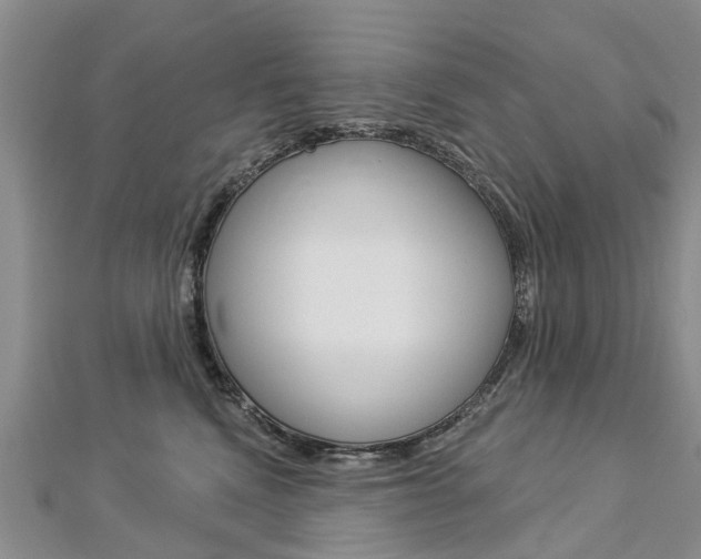 X0000112820472200908211004