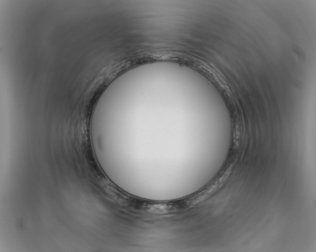 X0000112820473200908211004