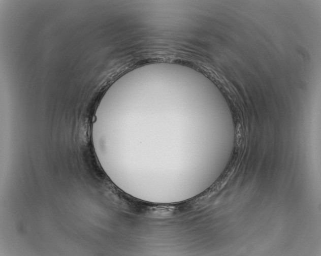 X0000112820474200908211004