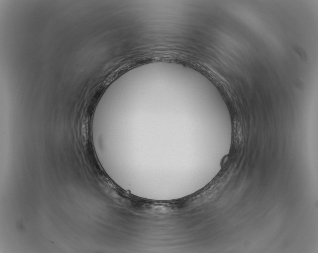 X0000112820475200908211004