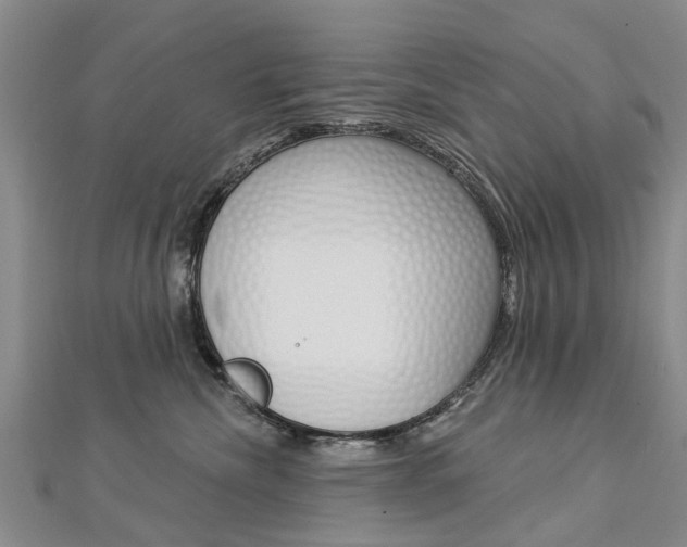 X0000112820476200908211004
