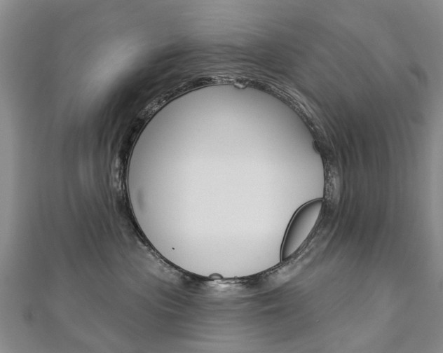 X0000112820477200908211004
