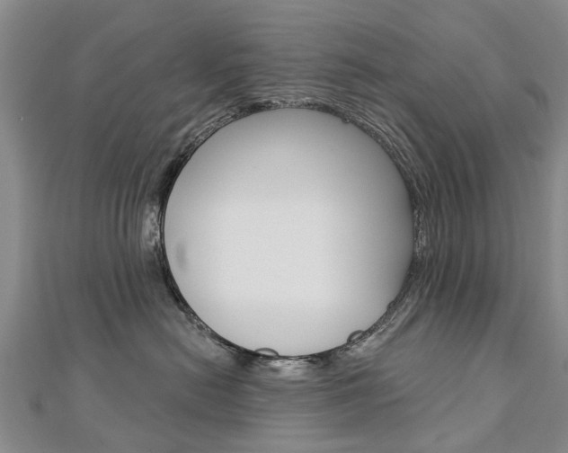 X0000112820478200908211004