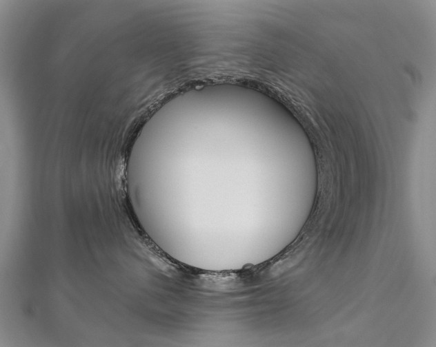 X0000112820480200908211004