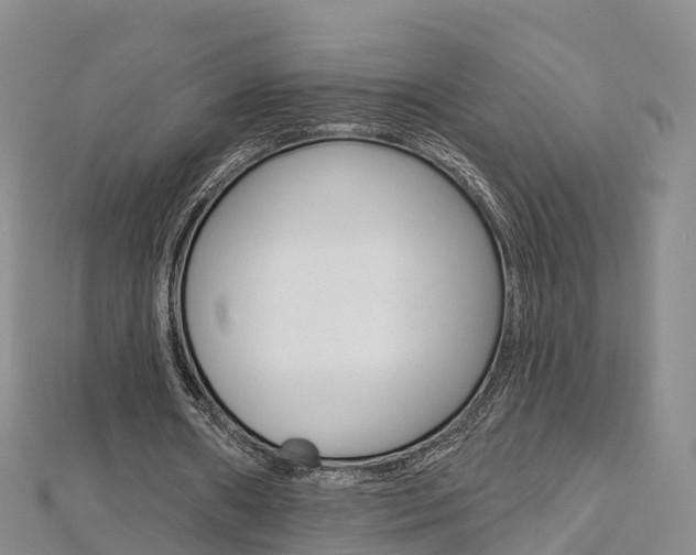 X0000112820482200908211003