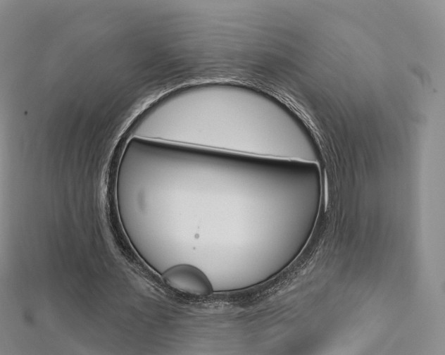 X0000112820483200908211003