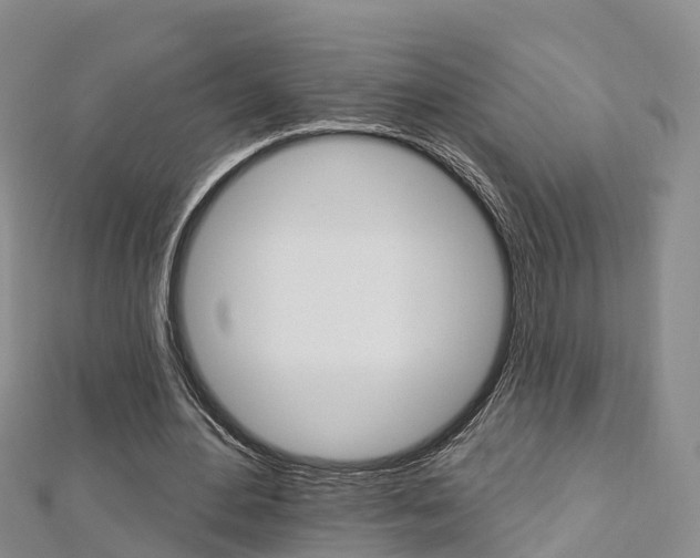 X0000112820484200908211003
