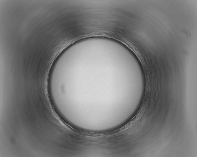 X0000112820485200908211003