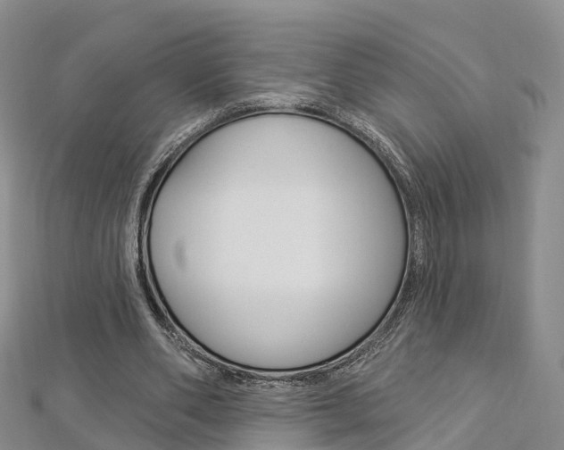 X0000112820486200908211003