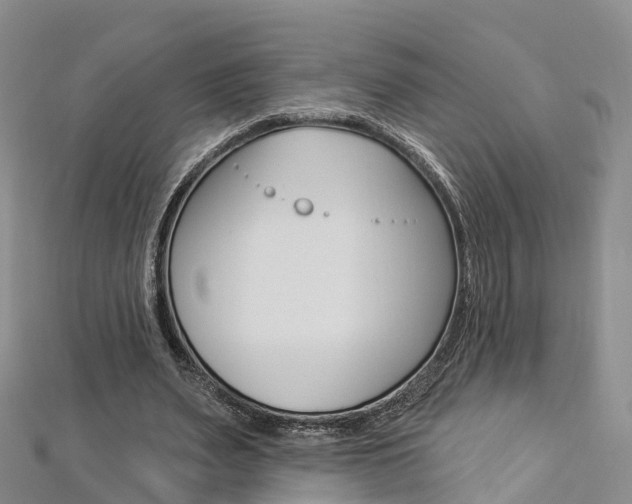 X0000112820487200908211003