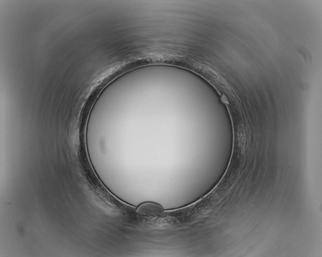 X0000112820488200908211003