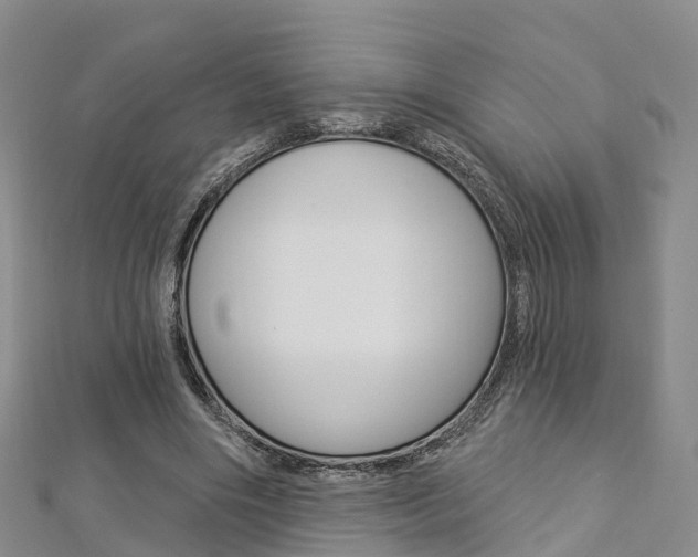 X0000112820490200908211003