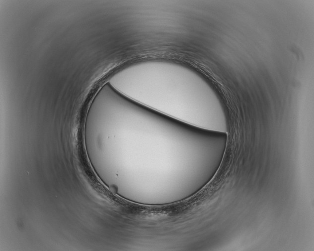 X0000112820491200908211003