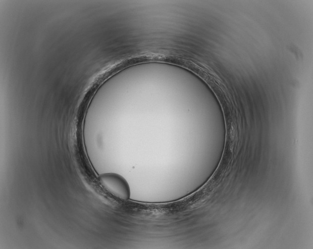 X0000112820492200908211003