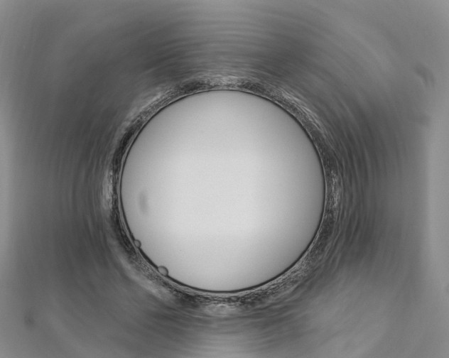 X0000112820494200908211003