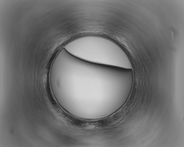 X0000112820495200908211003