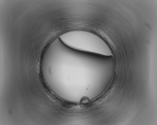 X0000112820497200908211003