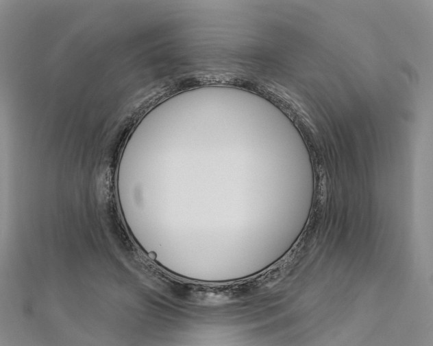 X0000112820498200908211003