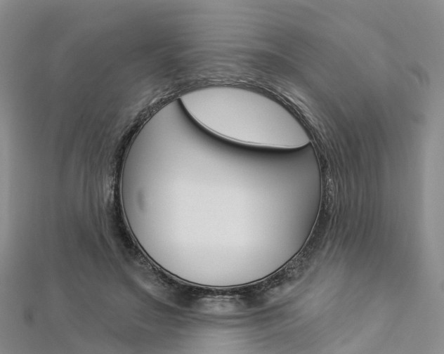 X0000112820499200908211003