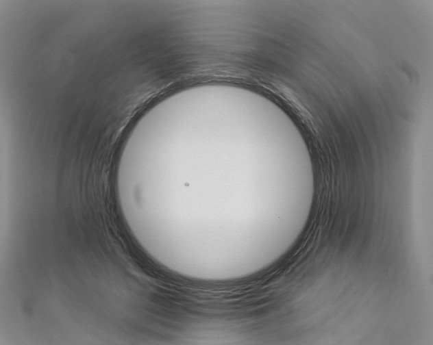 X0000112820500200908211003