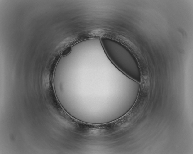X0000112820504200908211003