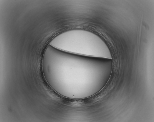 X0000112820505200908211003