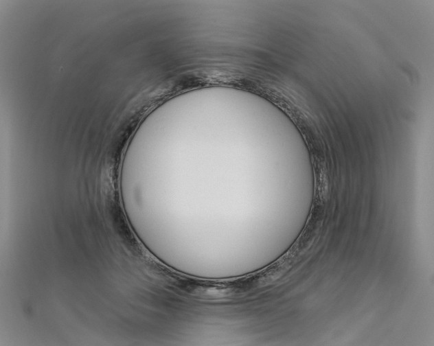X0000112820506200908211003