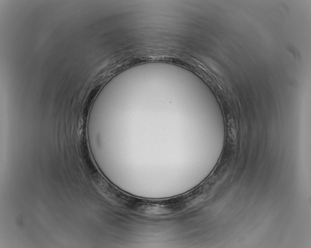 X0000112820507200908211003