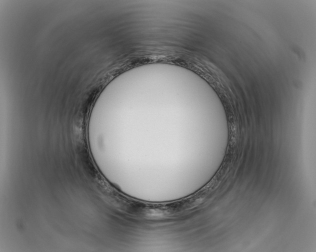 X0000112820510200908211003