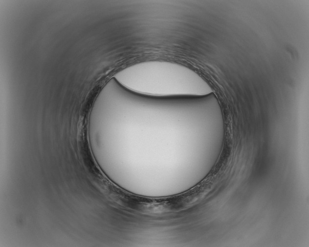 X0000112820511200908211003
