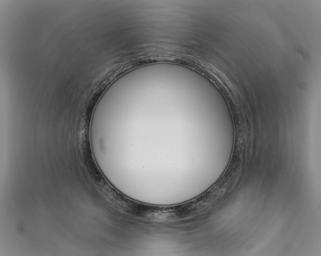 X0000112820513200908211003