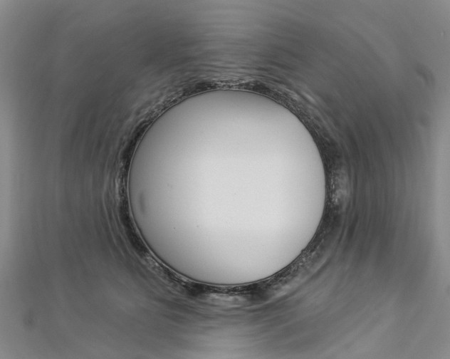 X0000112820515200908211003