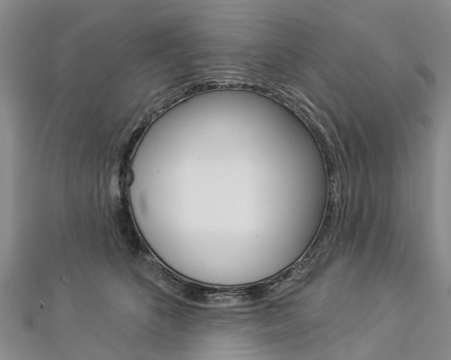 X0000112820516200908211003