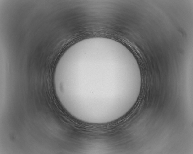 X0000112820517200908211003