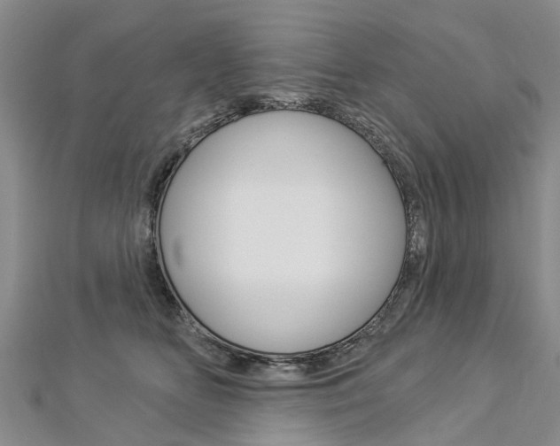 X0000112820518200908211003