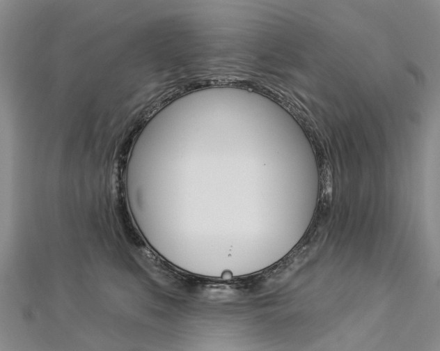 X0000112820519200908211003