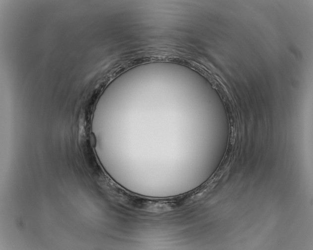 X0000112820520200908211003