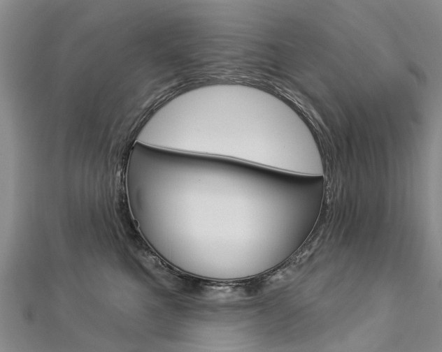 X0000112820521200908211003