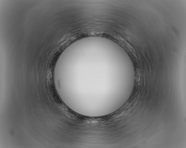 X0000112820523200908211003