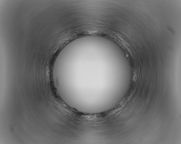 X0000112820524200908211003